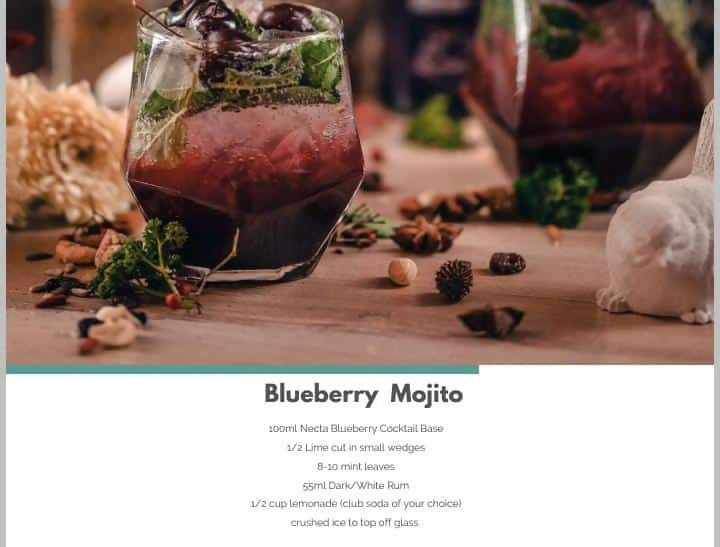 FRUIT EXTRACT NECTA BLUEBERRY 750ML