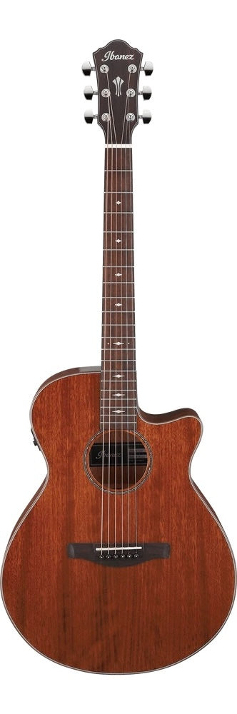 Ibanez Acoustic Guitar