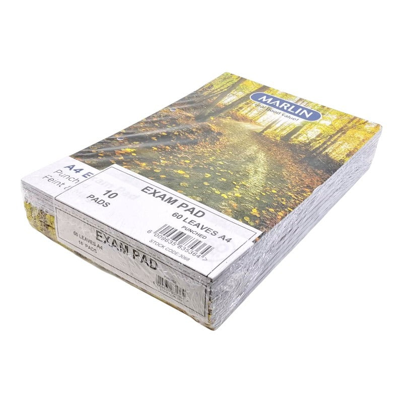 A4 Exam Pads - Punched - 100 Sheets