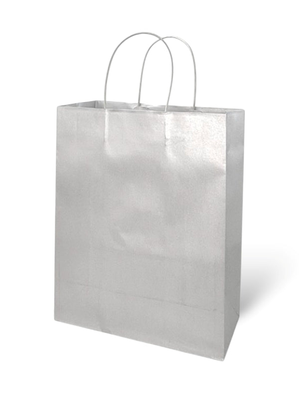 *boutique BAGS SILV 20*25.5*10 Cm - Silver