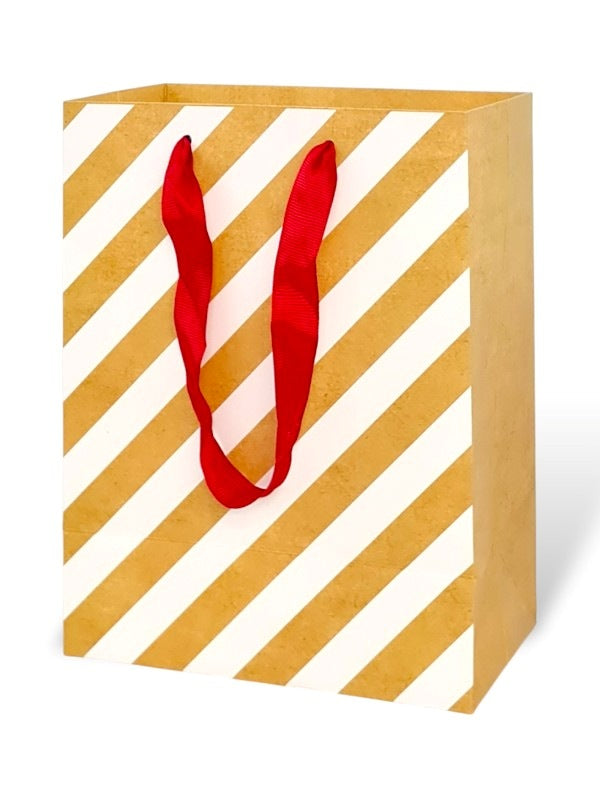 GIFT BAG - ±23×18×10 Cm