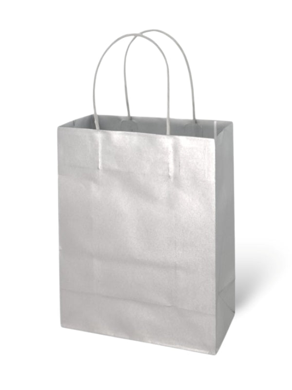 *boutique BAGS SILV 26*32*12 Cm - Silver
