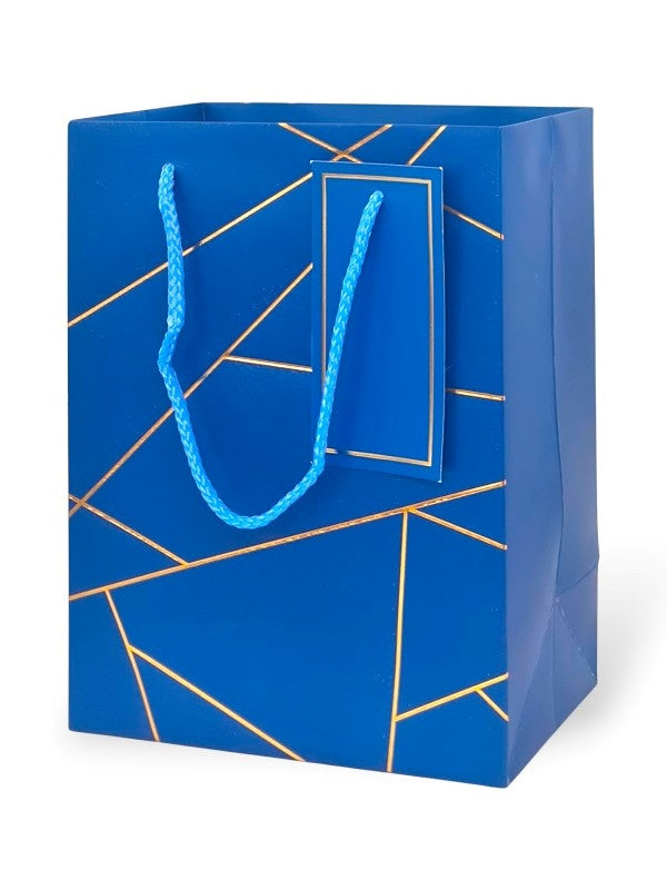 GIFT BAG - BLUE - ±23×18×10 Cm