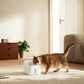 Xiaomi Smart Pet Fountain 2 - alternate product view 5