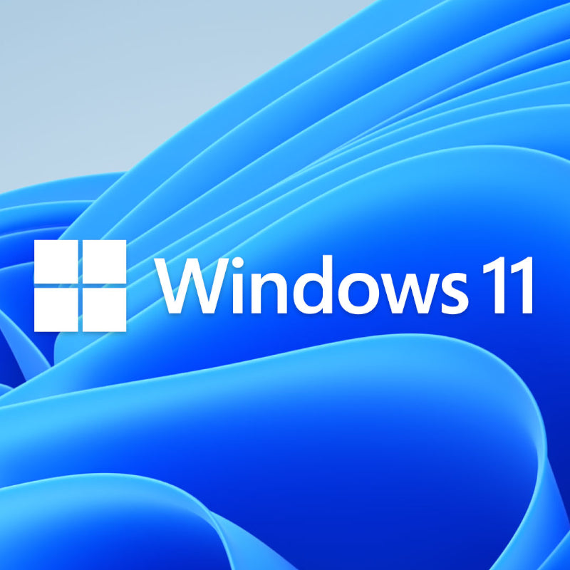 Microsoft WIN 11 PRO 64BIT DSP - alternate product view 2
