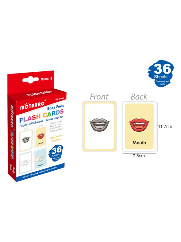 Motarro FLASH CARDS - BODY PARTS - 36 Sheets (MU146 - 13)