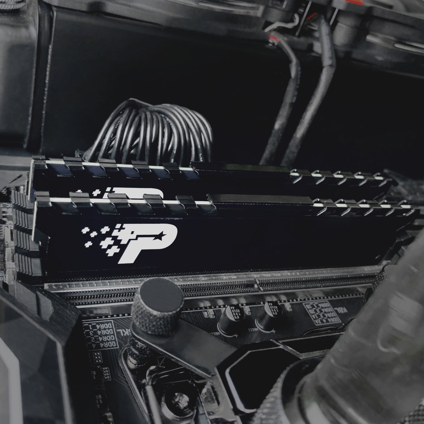 Patriot Signature Premium Line DDR4 16GB 3200MHz UDIMM - alternate product view 5