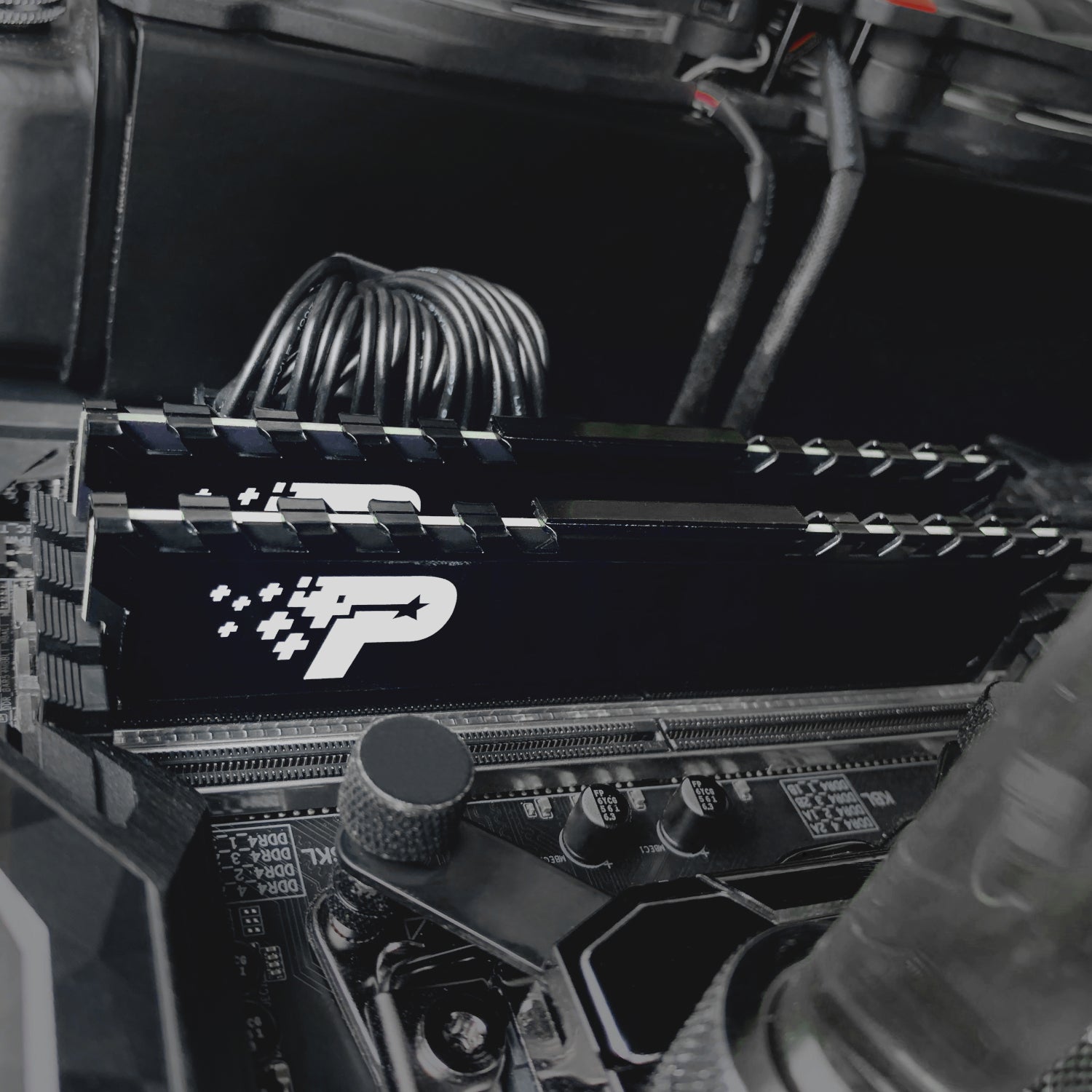 Patriot Signature Premium Line DDR4 16GB 3200MHz UDIMM - alternate product view 5