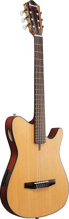 Ibanez Nylon String Guitar