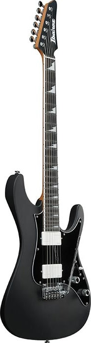 IBANEZ SIGNATURE SERIES
