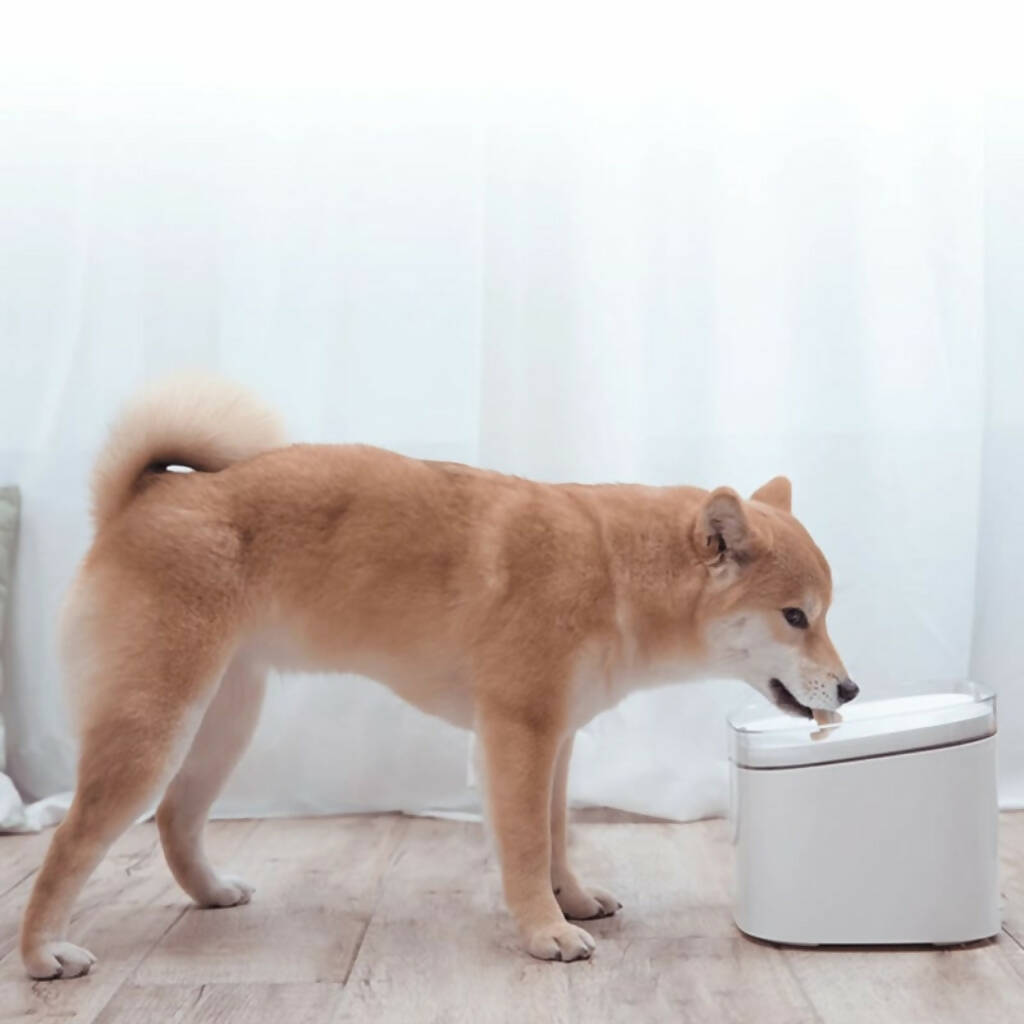 Xiaomi Smart Pet Fountain EU